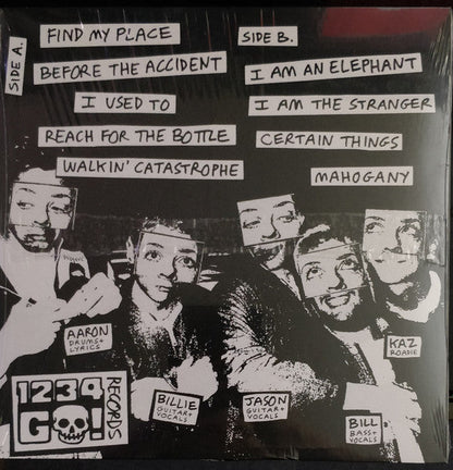 Carry The Banner (VINYL) | Near Mint (NM) Mint (M)--