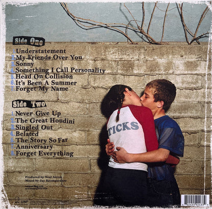 New Found Glory - Sticks And Stones (WHIRLPOOL VINYL) | Near Mint (NM) Near Mint (NM)-