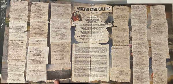 Forever Came Calling - What Matters Most *MUSTARD SPLATTER* | Near Mint (NM) Near Mint (NM)-