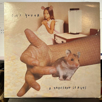 Sonic Youth - A Thousand Leaves (2xVINYL) | Near Mint (NM) Excellent (EX)-