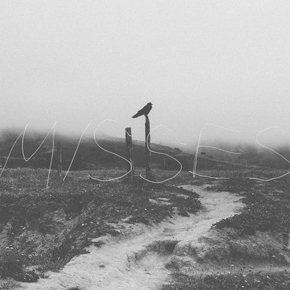 My America Is Watching Tigers Die - Misses (PURPLE/WHITE MARBLE VINYL) | Near Mint (NM or M-)--
