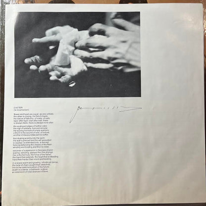 Patti Smith Group - Easter (VINYL) | Near Mint (NM) Near Mint (NM)--