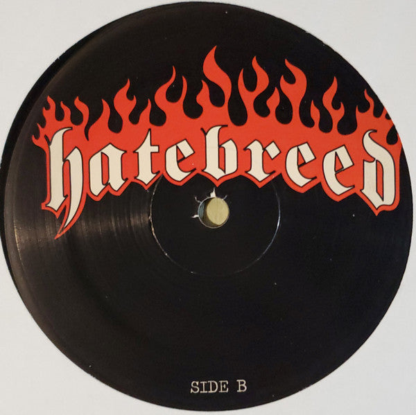 Hatebreed - Satisfaction Is The Death Of Desire (VINYL) | Near Mint (NM) Near Mint (NM)-
