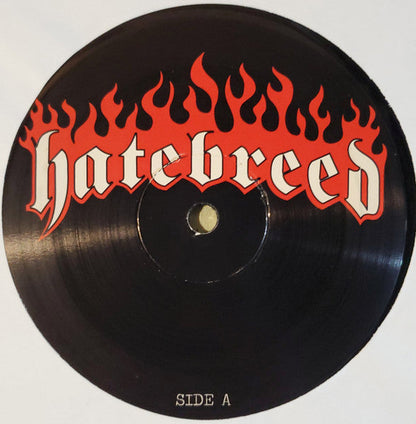 Hatebreed - Satisfaction Is The Death Of Desire (VINYL) | Near Mint (NM) Near Mint (NM)-