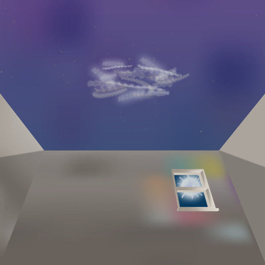 Radere - I Can't Sleep, I Can't Wake Up | Mint (M) Mint (M)-