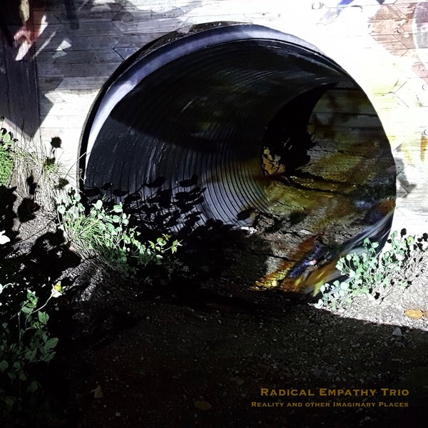 RADICAL EMPATHY TRIO - Reality and Other Imaginary Places |-