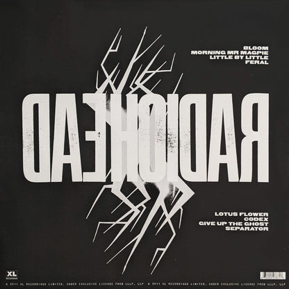 Radiohead - The King Of Limbs (VINYL) | Mint (M) Mint (M)-