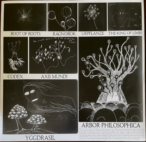Radiohead - The King Of Limbs (VINYL) | Mint (M) Mint (M)-