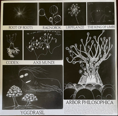 Radiohead - The King Of Limbs (VINYL) | Mint (M) Mint (M)-