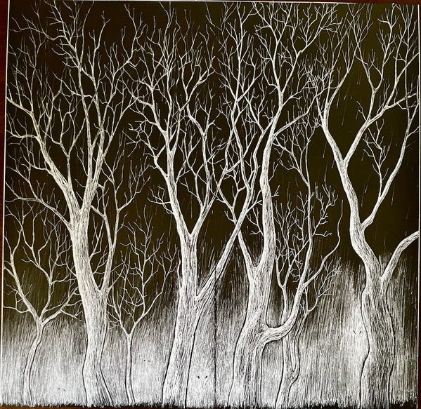 Radiohead - The King Of Limbs (VINYL) | Mint (M) Mint (M)-