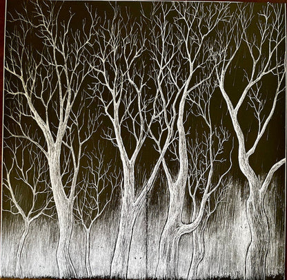 Radiohead - The King Of Limbs (VINYL) | Mint (M) Mint (M)-