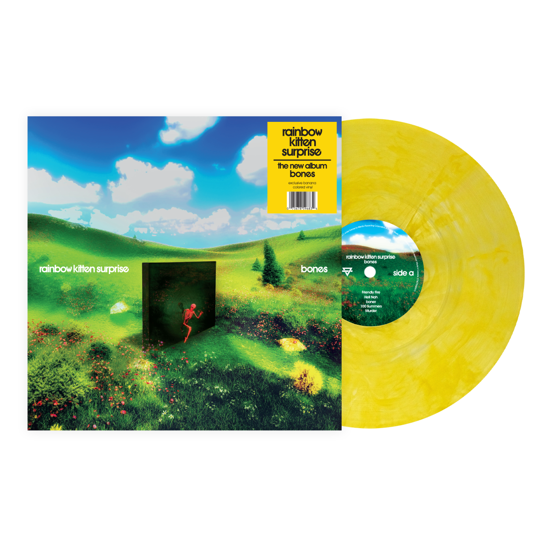 Rainbow Kitten Surprise - Bones [Indie Exclusive] (BANANA VINYL) | Mint (M) Mint (M)-