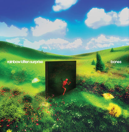 Rainbow Kitten Surprise - Bones [Indie Exclusive] (BANANA VINYL) | Mint (M) Mint (M)-