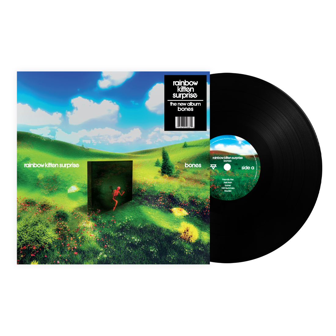 Rainbow Kitten Surprise - Bones (VINYL) | Mint (M) Mint (M)-