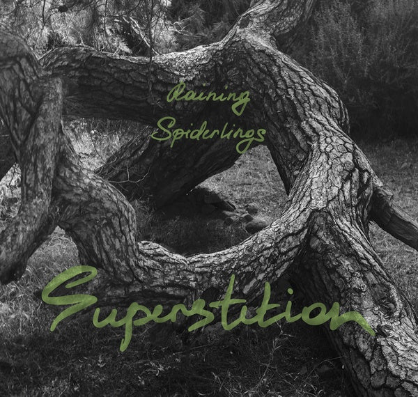 RAINING SPIDERLINGS - Superstition |-