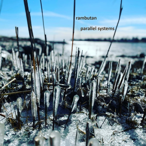 RAMBUTAN - Parallel Systems |-