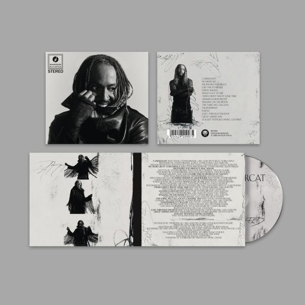 Thundercat - Distracted (CD) |-