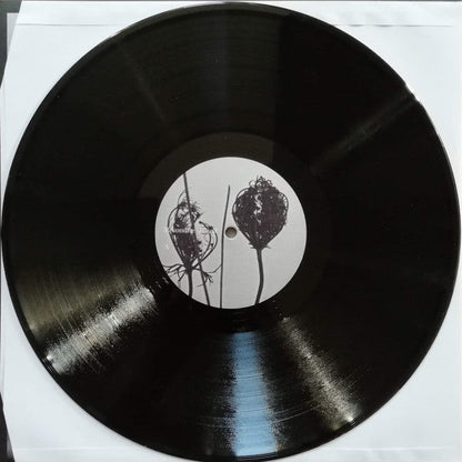 Recondite - Placid | Mint (M) Near Mint (NM)--