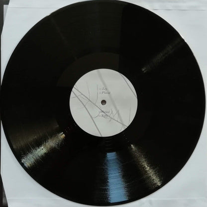Recondite - Placid | Mint (M) Near Mint (NM)--