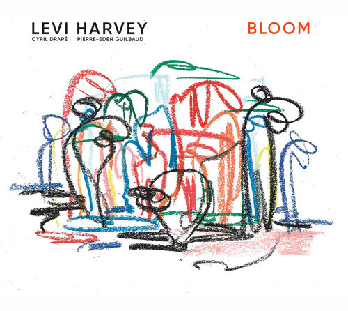 Levi Harvey - Bloom (VINYL) | Mint (M) Mint (M)-