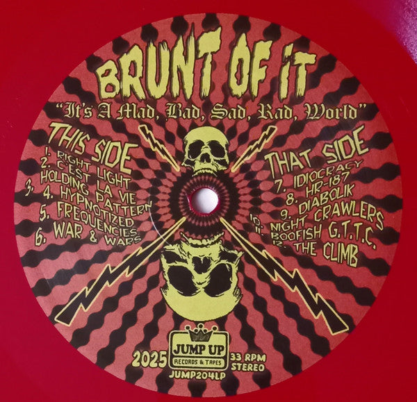 Brunt Of It - It’s A Mad, Bad, Sad, Rad World (VINYL) | Mint (M) Mint (M)-