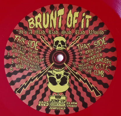 Brunt Of It - It’s A Mad, Bad, Sad, Rad World (VINYL) | Mint (M) Mint (M)-
