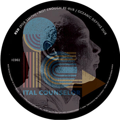Not Enough (VINYL) | Mint (M) Generic-