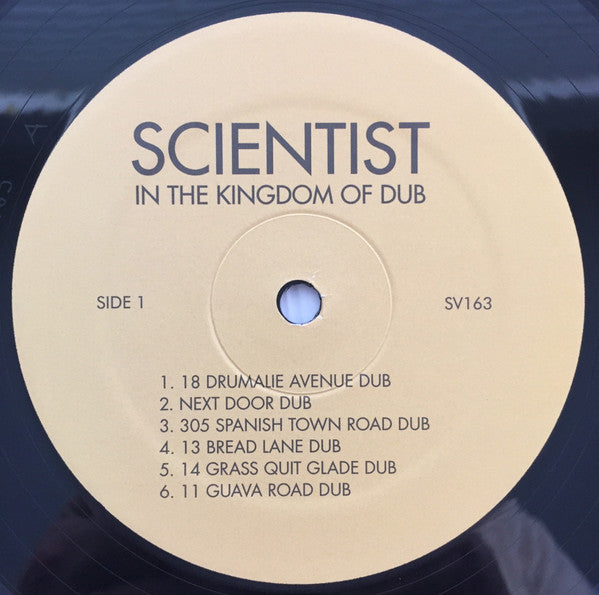 In The Kingdom Of Dub | Mint (M) Mint (M)-