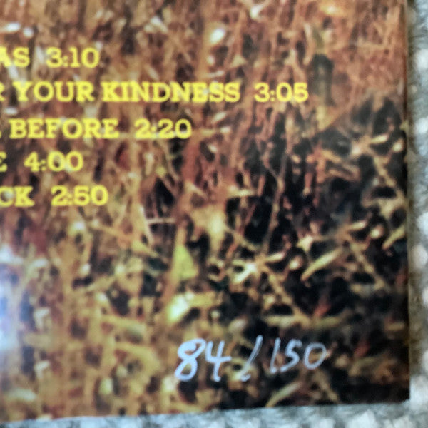 The Folklords - Release The Sunshine | Mint (M) Mint (M)-