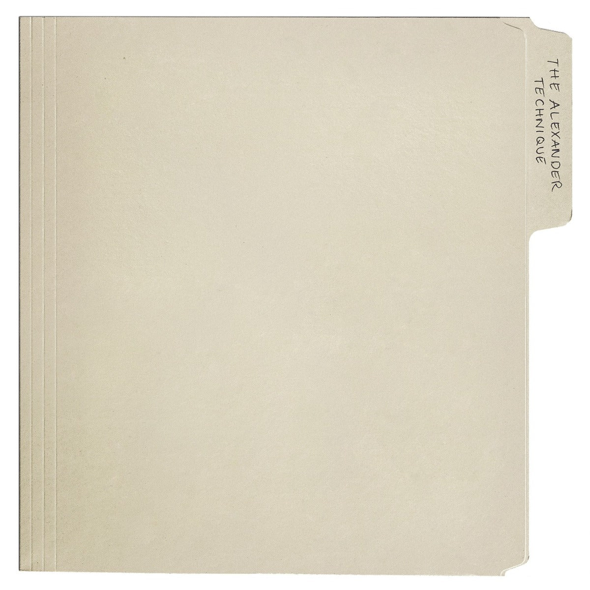 Rex Orange County - The Alexander Technique [Explicit Content] (Gatefold LP Jacket, Poster) (2 Lp's) | Mint (M) Mint (M)-