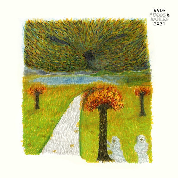 RICHARD VON DER SCHULENBURG (RVDS) - Moods & Dances 2021 (VINYL) | Mint (M) Mint (M)-