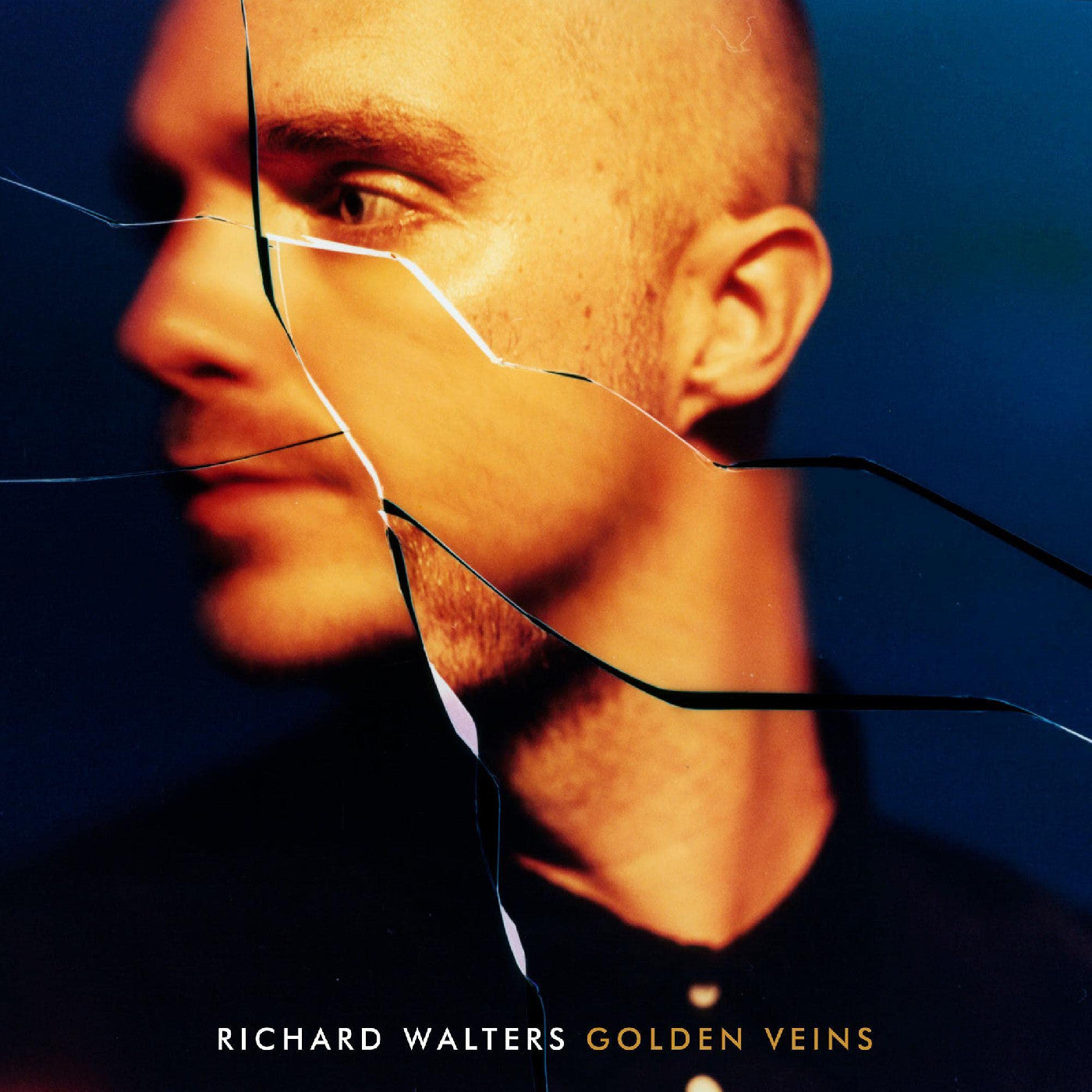 Richard Walters - Golden Veins (CD) | Mint (M) Mint (M)-