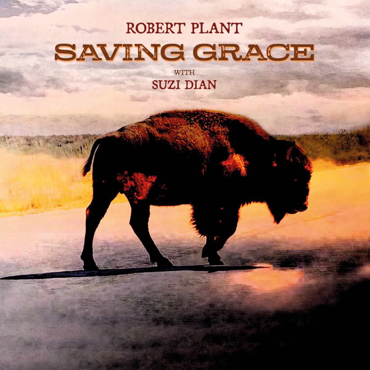 Robert Plant - Saving Grace (IEX FRUIT PUNCH VINYL) | Mint (M) Mint (M)-