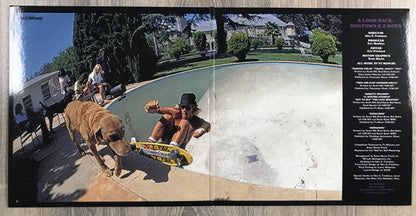 A Look Back : Dogtown & Z-Boys | Mint (M)-