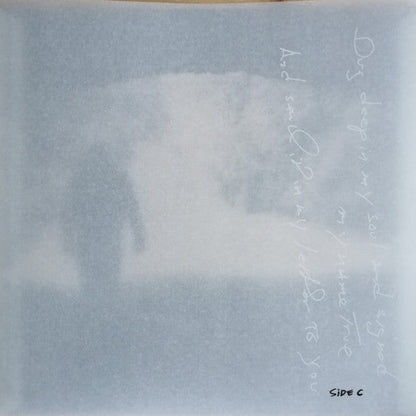 Bruce Springsteen - Letter To You (2xGRAY VINYL) | Mint (M) Mint (M)-