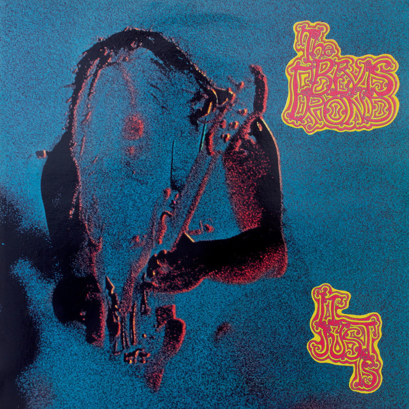 The Bevis Frond - It Just Is (2xVINYL) | Mint (M) Mint (M)-