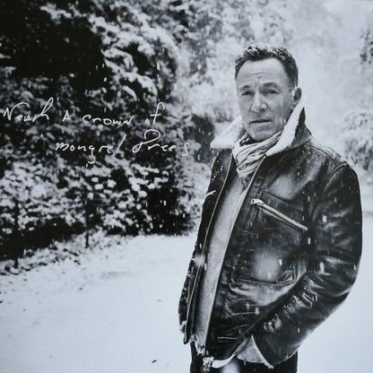 Bruce Springsteen - Letter To You (2xGRAY VINYL) | Mint (M) Mint (M)-