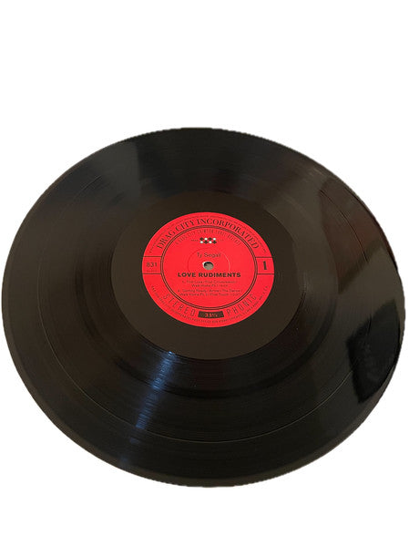 Ty Segall - Love Rudiments | Mint (M) Mint (M)-