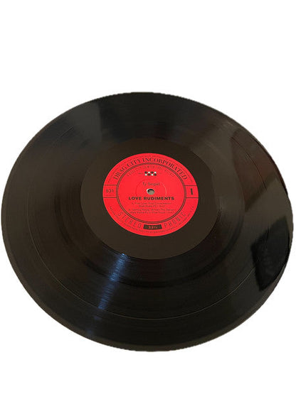 Ty Segall - Love Rudiments | Mint (M) Mint (M)-