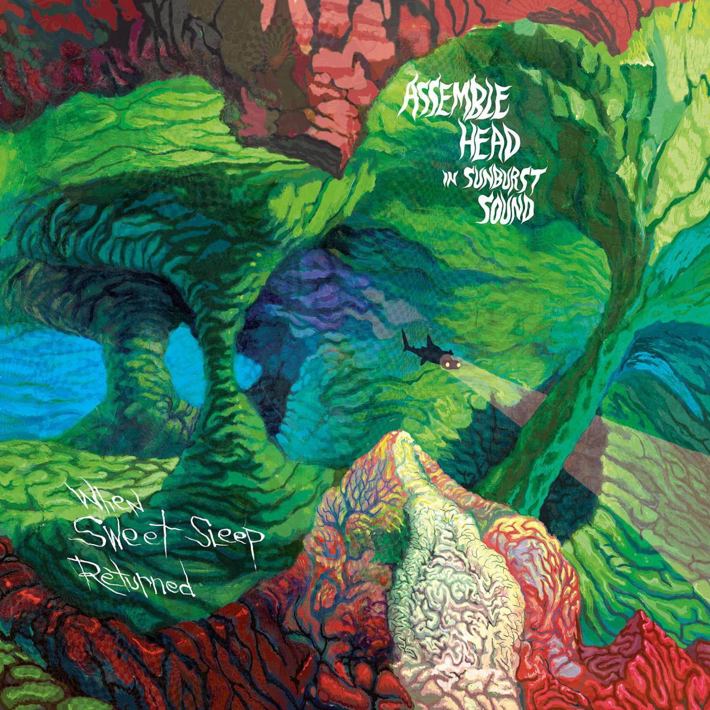 Assemble Head In Sunburst Sound - When Sweet Sleep Returned (CD) |-