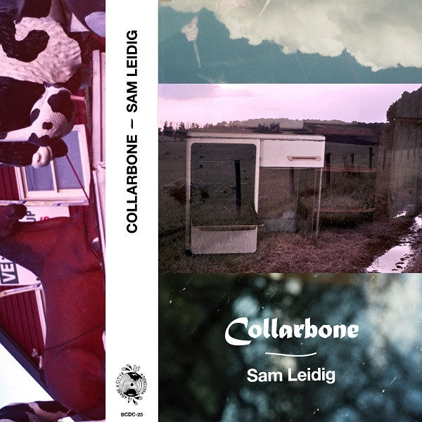 Leidig, Sam - Collarbone (Cassette) | Mint (M) Mint (M)-