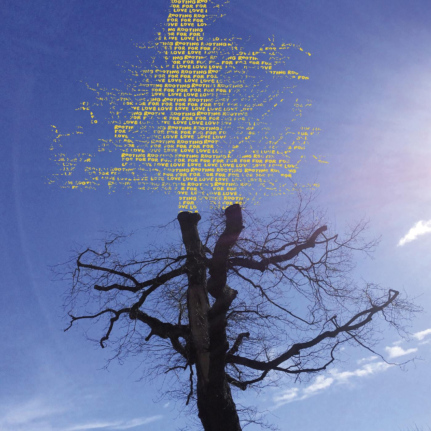 Sadier, Laetitia - Rooting For Love |-