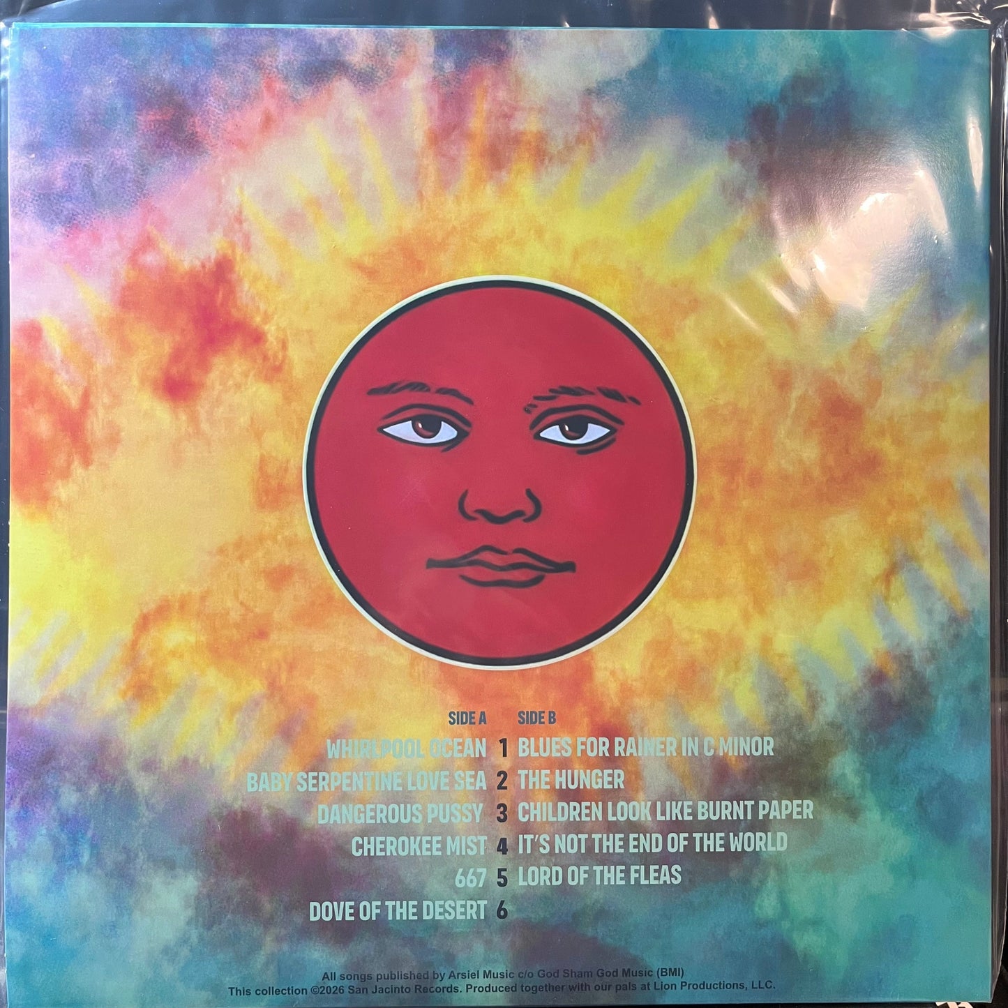 Black Sun Ensemble - Whirlpool Ocean (VINYL) | Mint (M) Mint (M)-