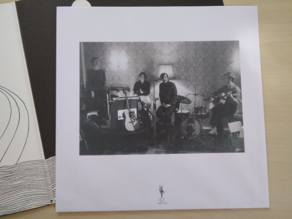 The Benjamin Delaney Lion - Satori (VINYL) | Mint (M) Mint (M)-
