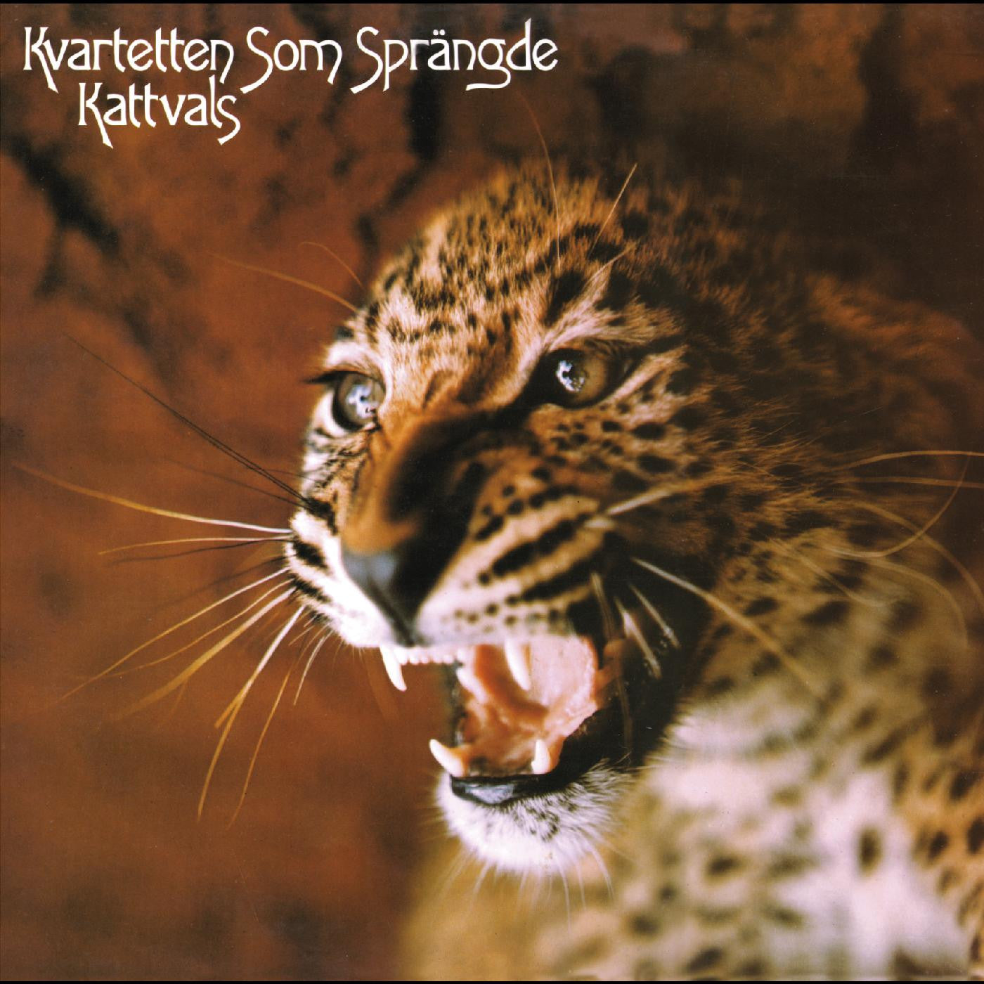 Kvartetten som sprängde - Kattvals (DELUXE EDITION, PSYCHEDELIC SPLATTER VINYL) (Vinyl) |-