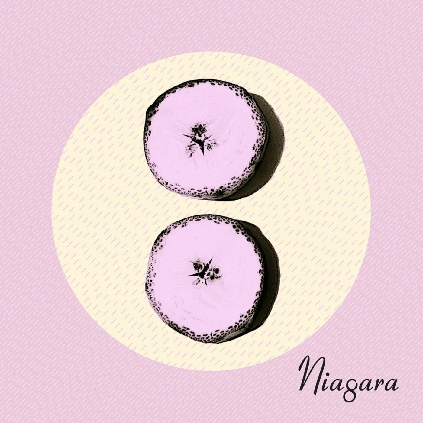Niagara - Otto (CD) |-