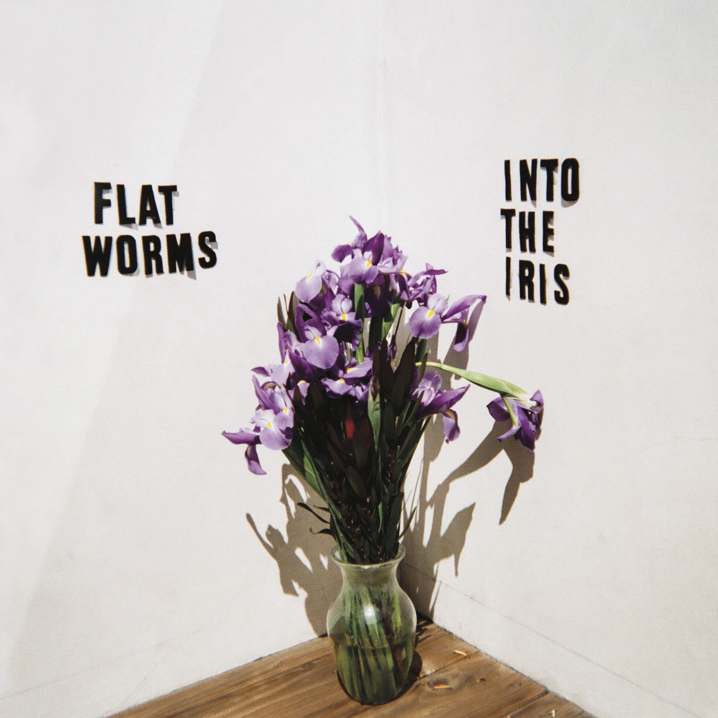 Flat Worms - Into The Iris |-