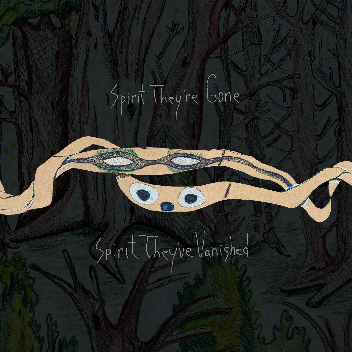 Animal Collective - Spirit They're Gone, Spirit They've Vanished (Remastered 2023) | Mint (M) Mint (M)-