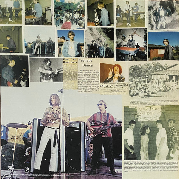 Children Of The Mushroom - Children Of The Mushroom (VINYL) | Mint (M) Mint (M)-