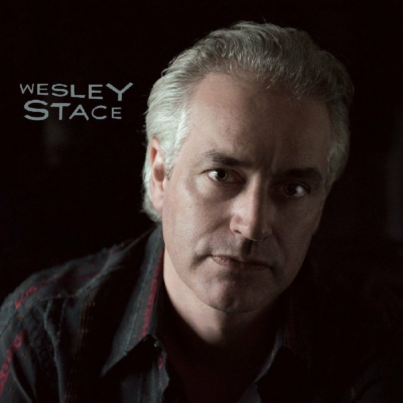 Wesley Stace - Wesley Stace (2xVINYL) |-